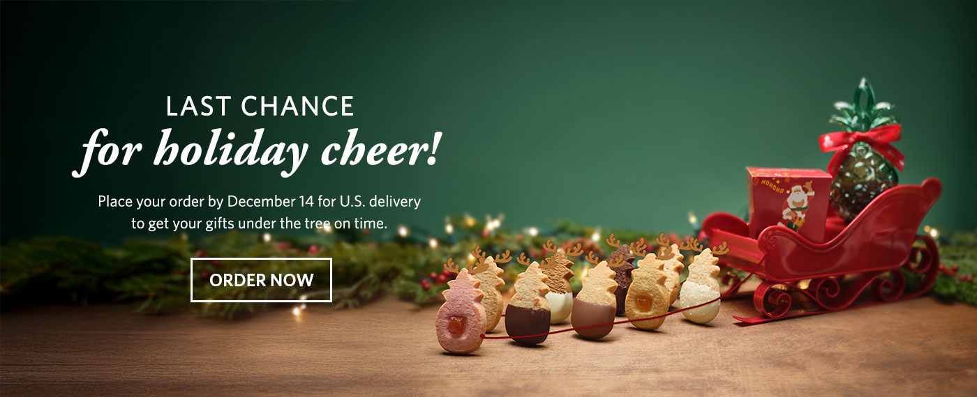 Last chance for holiday cheer. Shop now.