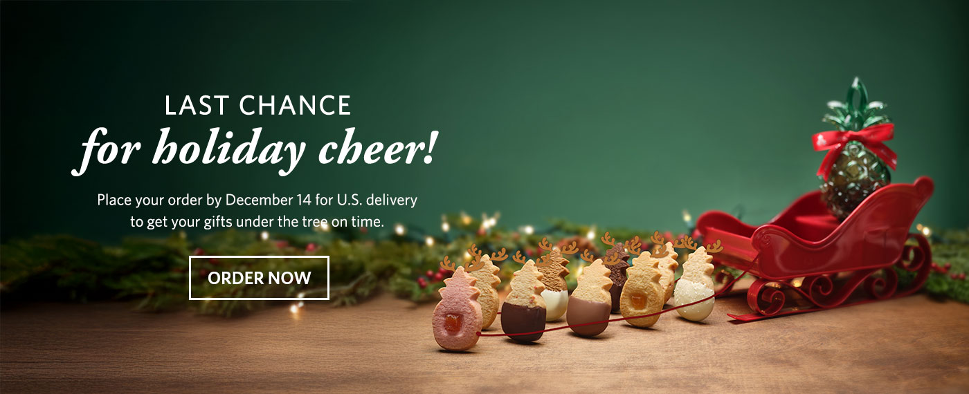 Last chance for holiday cheer. Shop now.