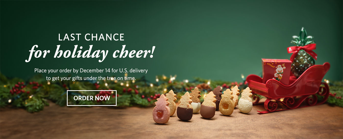 Last chance for holiday cheer. Shop now.